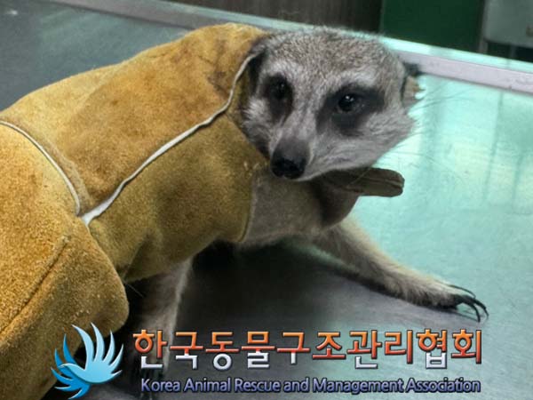 한국동물구조관리협회_411316202400373